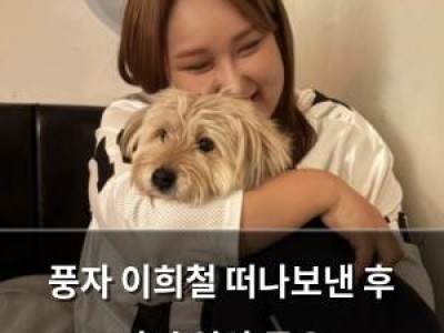 풍자 이희철 떠나보낸 후 다시 일상 공유