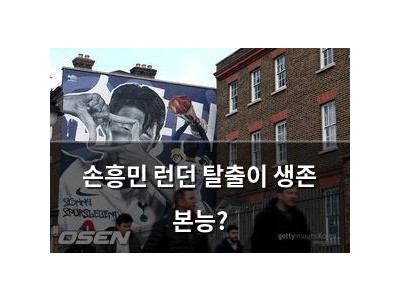 손흥민 런던 탈출이 생존 본능?