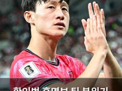 황인범 홍명보 팀 분위기 갈라져 월드컵 준비에 긴장감