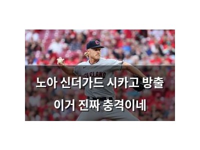 노아 신더가드 시카고 방출 이거 진짜 충격이네