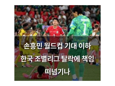 손흥민 월드컵 기대 이하 한국 조별리그 탈락에 책임 떠넘기나
