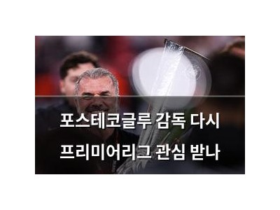 포스테코글루 감독 다시 프리미어리그 관심 받나