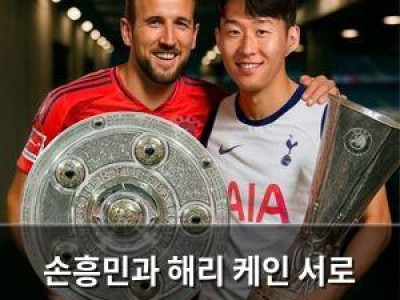 손흥민과 해리 케인 서로 다른 길로 흩어지나