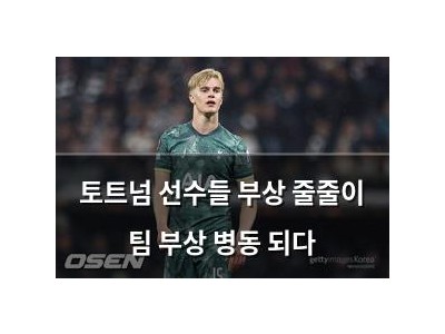 토트넘 선수들 부상 줄줄이 팀 부상 병동 되다