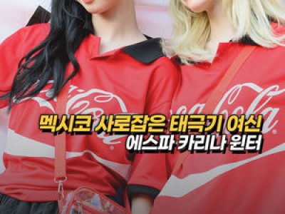 대한민국 체코전 팬들 열광했네