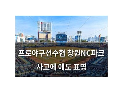 프로야구선수협 창원NC파크 사고에 애도 표명